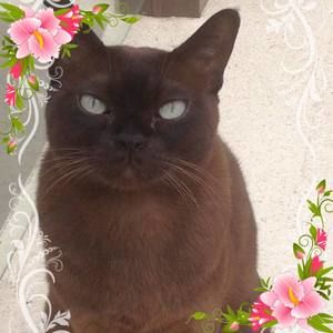 Meet your Posher, Cheryl